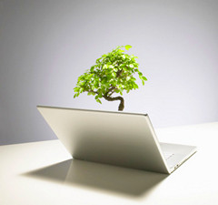 Web Design, Development, E-Commerce